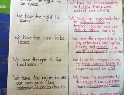 Natalia Anciso demonstrates the positive impact of using the arts, play and teaching of the UDHR with second graders