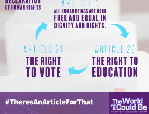 Teaching Guide on Racial Justice by Examining the Right to Vote and  Participate in One’s Government